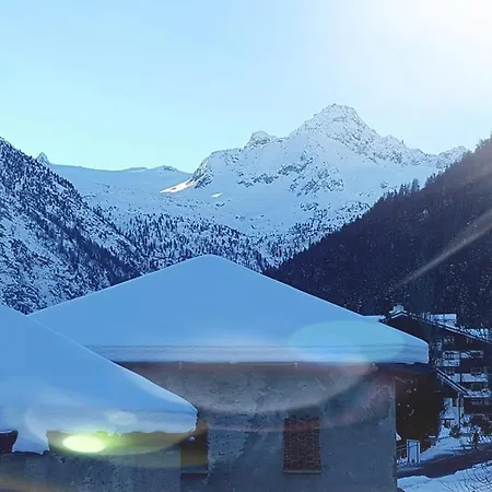 Shredhouse3